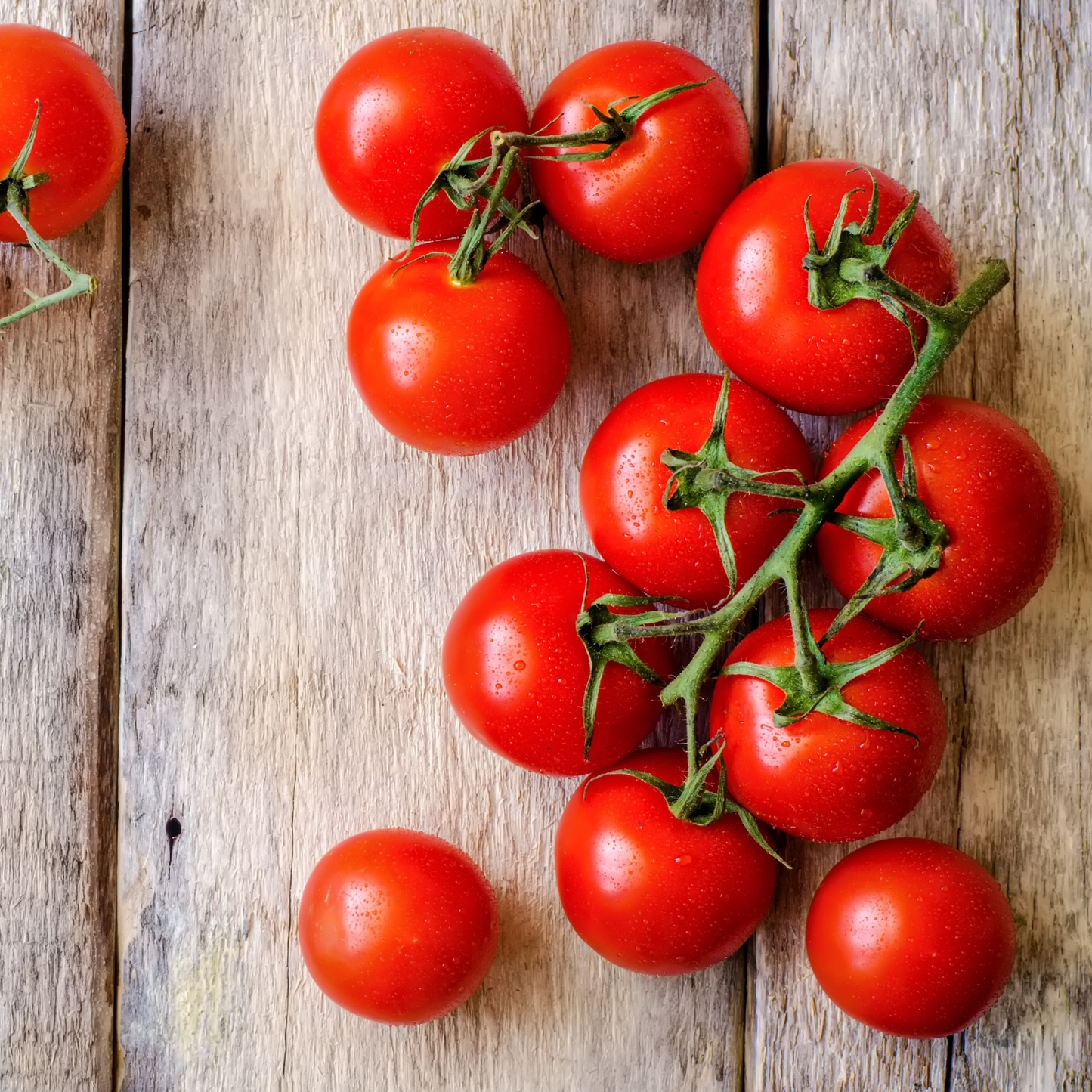 Cherry Strauchtomaten