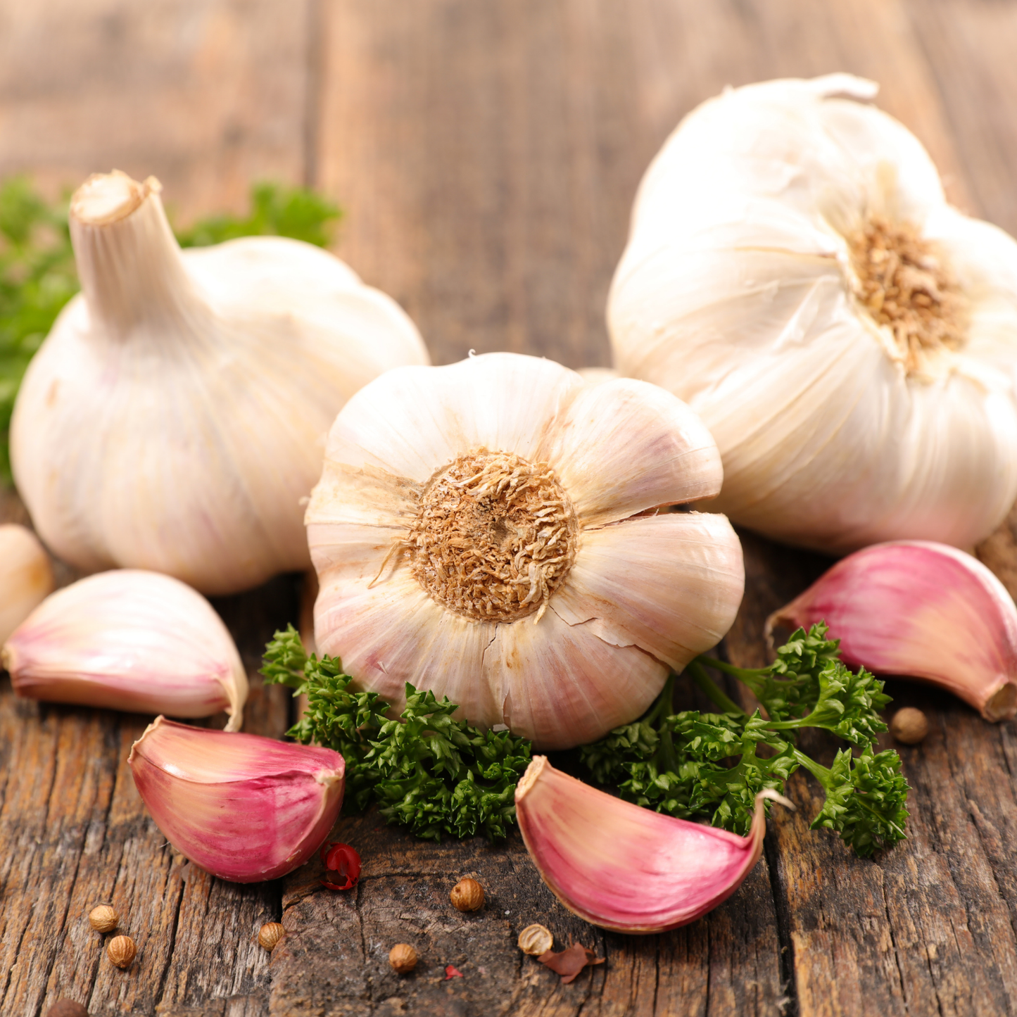 Knoblauch
